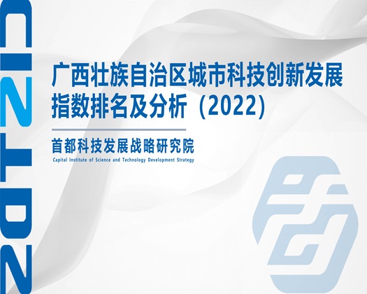 用手插入很快c喷潮水av观看免费啊啊屁眼摸到湿捅黄色网站【成果发布】广西壮族自治区城市科技创新发展指数排名及分析（2022）